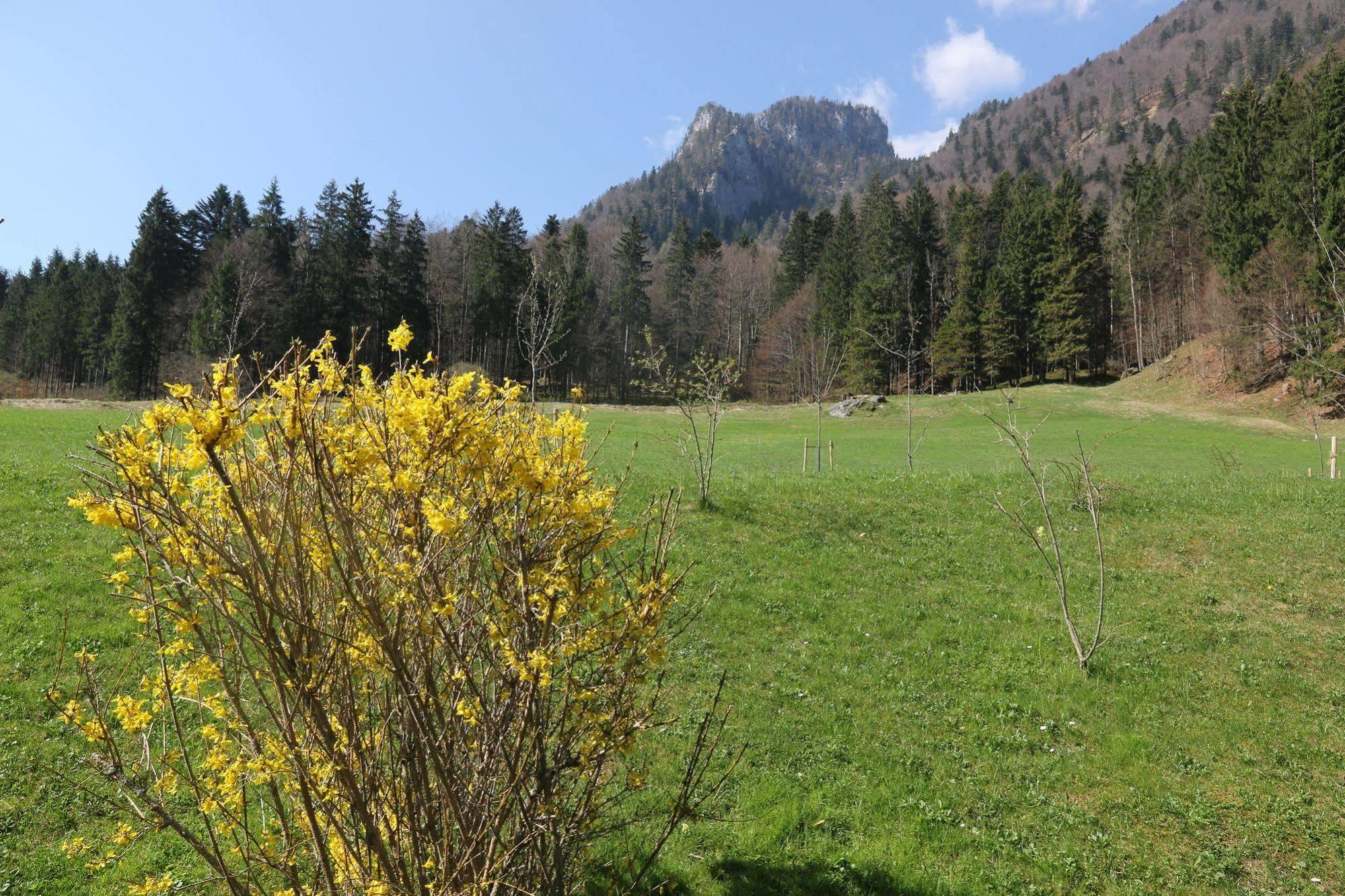 Chalets & Apartments Beim Waicher Ruhpolding Exterior foto